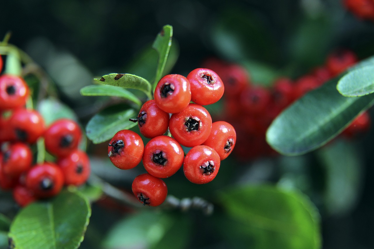 被迫在对手 被迫在对手