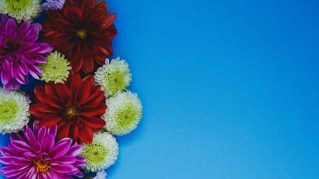 高质量发展 高质量发展