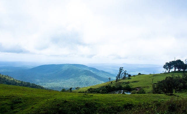 打下的坚实 打下的坚实