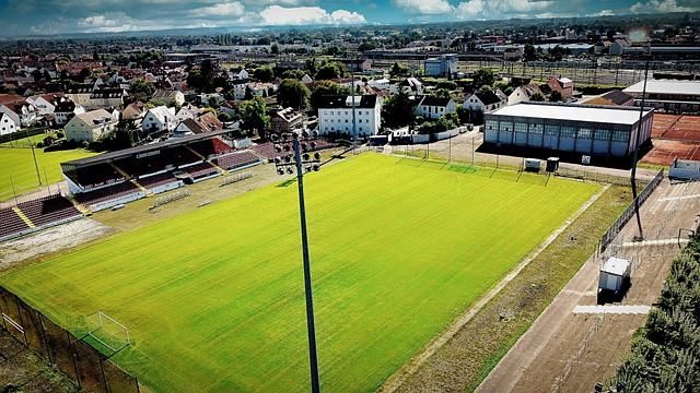 他为自己设 他为自己设