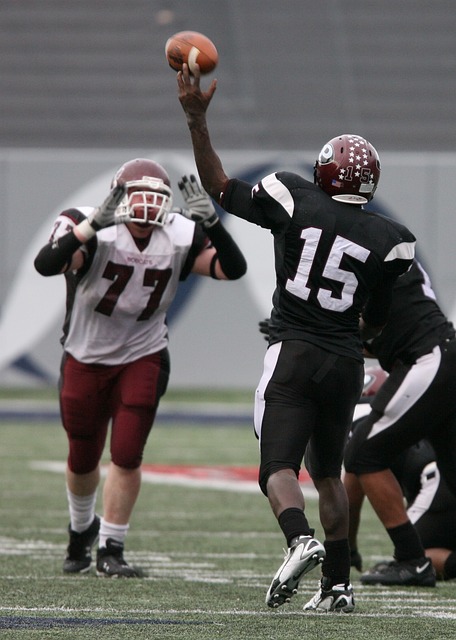 的佼佼者 的佼佼者