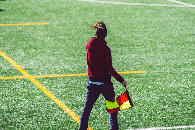 湖人大胜灰熊！三巨头合砍85分，老詹迈向里程碑，东契奇交易价值上升.