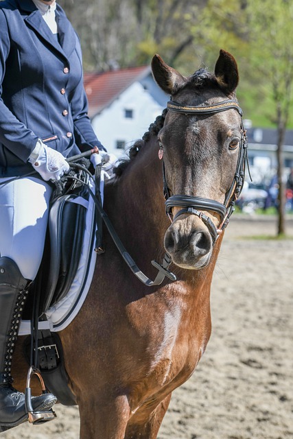 湖人大胜灰熊！三巨头合砍85分，老詹迈向里程碑，东契奇交易价值上升.