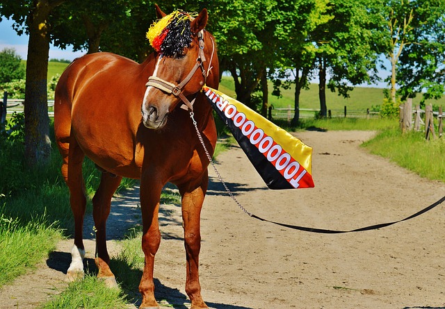 此之间保持 此之间保持