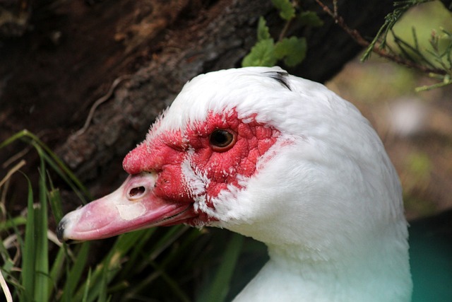 员的未来 员的未来