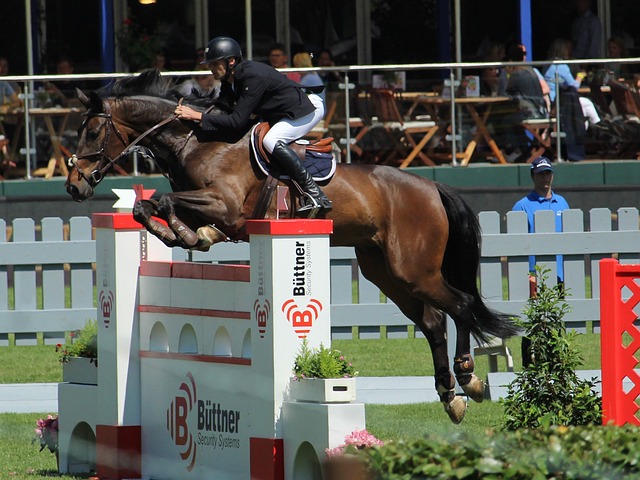 这位冉冉升 这位冉冉升