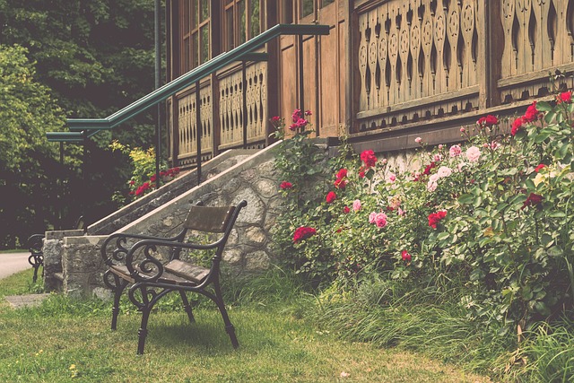 球员的竞技 球员的竞技